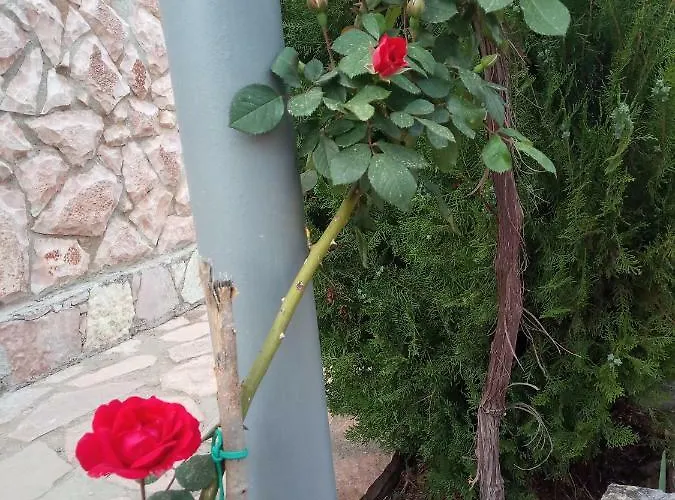 John's 招待所 卡萨米尔