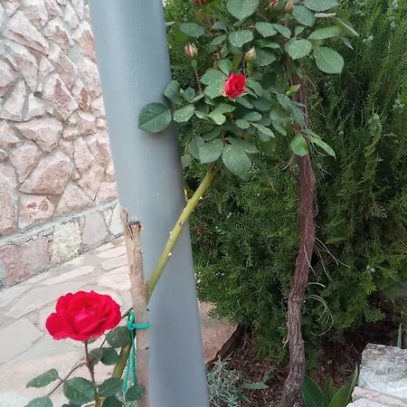 John's Pensionat Ksamil